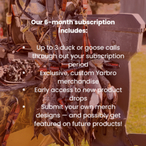 6-Month Subscription